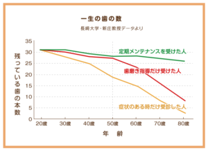 一生の歯の数のグラフ