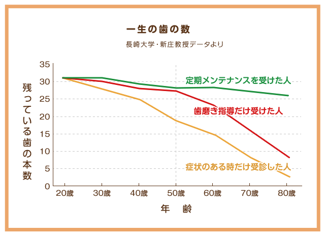 一生の歯の数のグラフ
