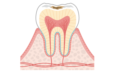 箕面市の歯医者なら痛みを少なく安心して通える尾川歯科医院