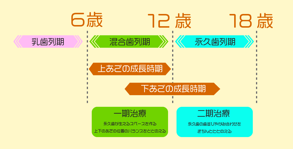小児矯正と本格矯正